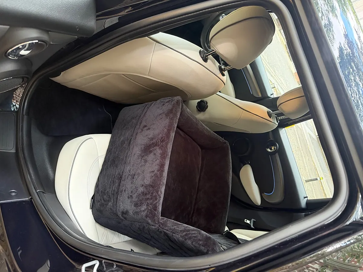 A fluffy dog car seat back in place on clean cream leather rear seats